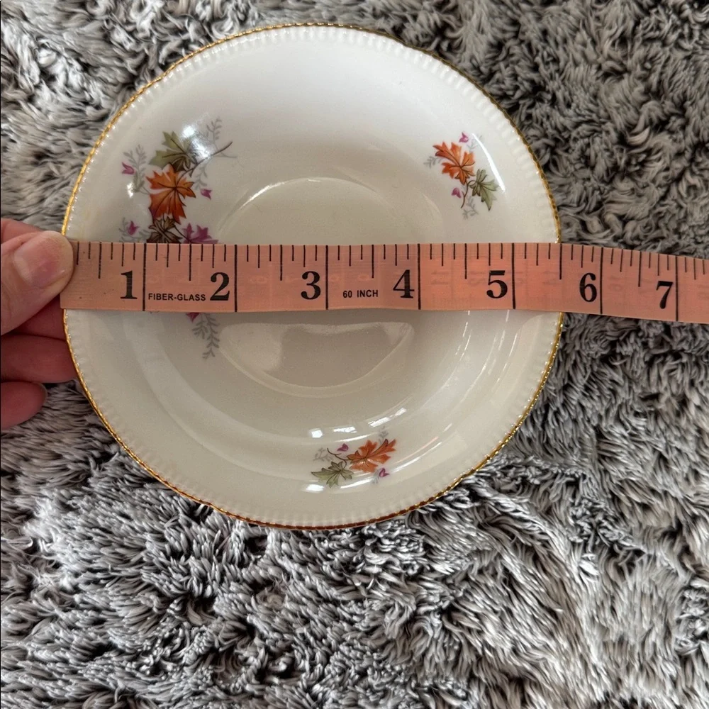 Winterling Bavaria‎ Germany Autumn Leaves Set of 4 Fruit Dessert Bowls 5.5